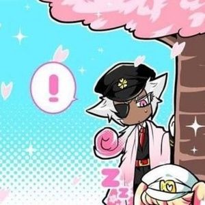 Meet your Posher, Dice